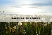 韩日巴西队赛程，韩日世界杯巴西队