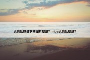 火箭队球员罗斯图片壁纸？ nba火箭队壁纸？