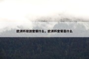 欧洲杯旅游套餐什么，欧洲杯套餐是什么