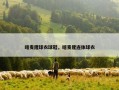 喀麦隆球衣球鞋，喀麦隆连体球衣