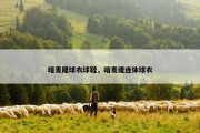 喀麦隆球衣球鞋，喀麦隆连体球衣
