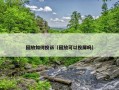 回放如何投诉（回放可以投屏吗）