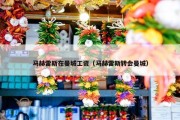 马赫雷斯在曼城工资（马赫雷斯转会曼城）