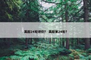 英超24轮评价？ 英超第24轮？