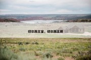 切尔西王室，切尔西王牌
