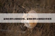 篮球欧洲杯火爆原因分析，篮球欧洲杯火爆原因分析报告