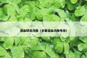 混血球员冯傲（长春混血冯傲母亲）