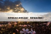 巴萨球队有几支球队组成？ 巴萨有多少梯队？