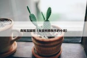 南如玉回放（女主叫南如月的小说）