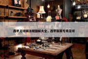西甲足球踢法规图解大全，西甲联赛专用足球
