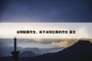 冰球联赛作文，关于冰球比赛的作文 英文