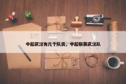 中超武汉有几个队员，中超联赛武汉队