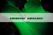 欧洲杯西班牙海报？ 欧洲杯巡礼西班牙？