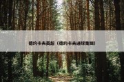 德约卡夫英超（德约卡夫进球集锦）