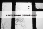 欧洲杯丹麦中场如何进（欧洲杯丹麦怎么出线）