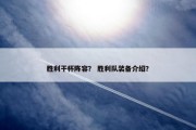胜利干杯阵容？ 胜利队装备介绍？