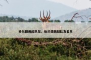 哈兰德英超队友，哈兰德英超队友名单