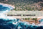 杨力维WCBA季后赛？ 杨力维国家队几号？