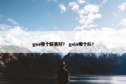 gaa哪个联赛好？ gala哪个队？