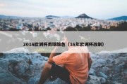 2016欧洲杯用球颜色（16年欧洲杯改制）