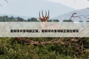 曼联球衣客场版正版，曼联球衣客场版正版在哪买