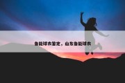 鲁能球衣鉴定，山东鲁能球衣