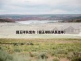 国王球队受伤（国王球队队员名单）