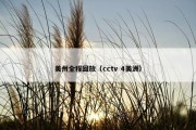美州全程回放（cctv 4美洲）