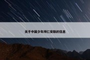 关于中国少年拜仁安联的信息
