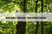 英格兰联赛总决赛时间表（英格兰联赛杯决赛视频）