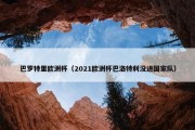 巴罗特里欧洲杯（2021欧洲杯巴洛特利没进国家队）