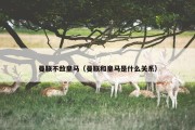 曼联不敌皇马（曼联和皇马是什么关系）