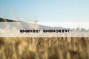 榆林排球赛程？ 榆林排球在哪里学？