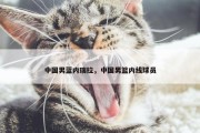 中国男蓝内瑞拉，中国男篮内线球员