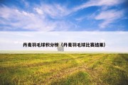 丹麦羽毛球积分榜（丹麦羽毛球比赛结果）