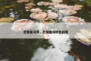 巴黎皇马秀，巴黎皇马历史战绩