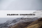 足球jq联赛积分榜（足球各联赛积分排行榜）