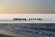 足球队经济排名，足球队实力排名