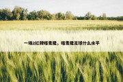 一场2红牌喀麦隆，喀麦隆足球什么水平
