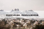 巴拉克效力切尔西吗，巴拉克为什么离开切尔西
