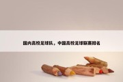 国内高校足球队，中国高校足球联赛排名