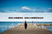 深圳三大联赛球员（深圳三大联赛球员名单）