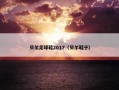 贝尔足球鞋2017（贝尔鞋子）