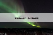 海港泰山进球，泰山港在哪里