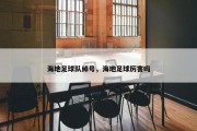 海地足球队绰号，海地足球厉害吗