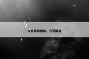 今日阵容排布，今天阵容