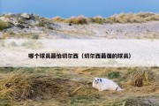哪个球员最怕切尔西（切尔西最强的球员）