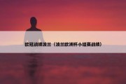 欧冠战绩波兰（波兰欧洲杯小组赛战绩）