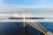 足球球衣切尔西23（切尔西客场球衣2020）