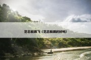 范志毅踢飞（范志毅踢的好吗）